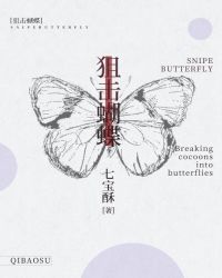 狙击蝴蝶小说全文免费阅读无弹窗下载封面