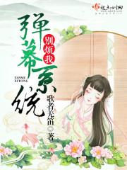 弹幕防御系统 弹幕防御系统