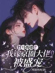 竹马悔婚?我嫁京圈大佬被盛宠作者所谓泱泱