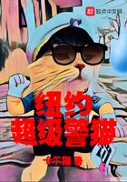 纽约警服 纽约警服